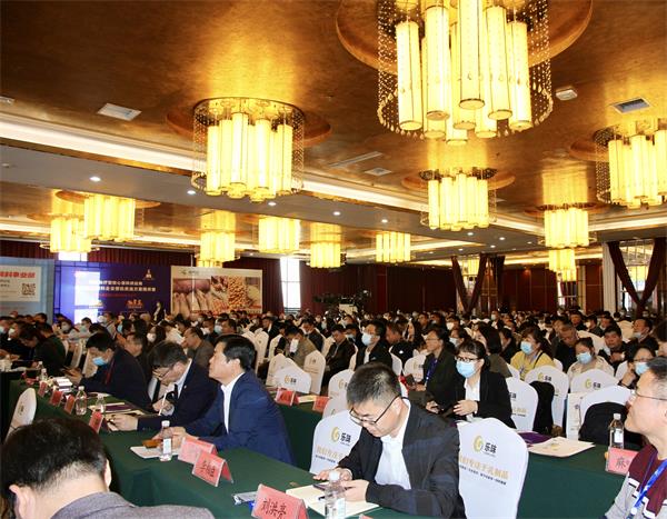 BC贷(中国游)官方网站