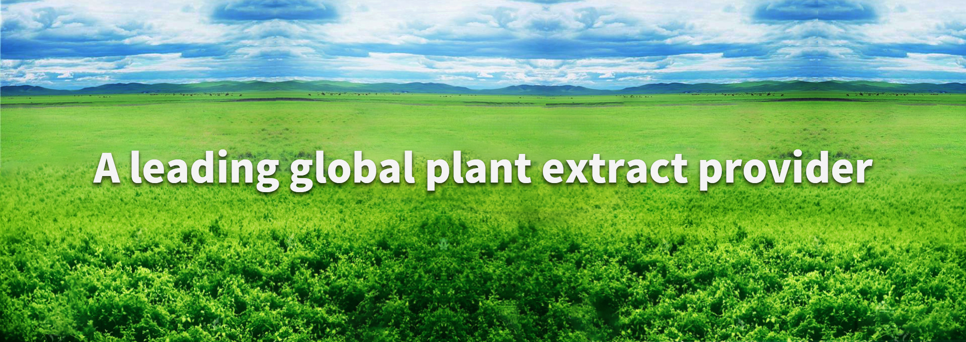 BC贷(中国游)官方网站