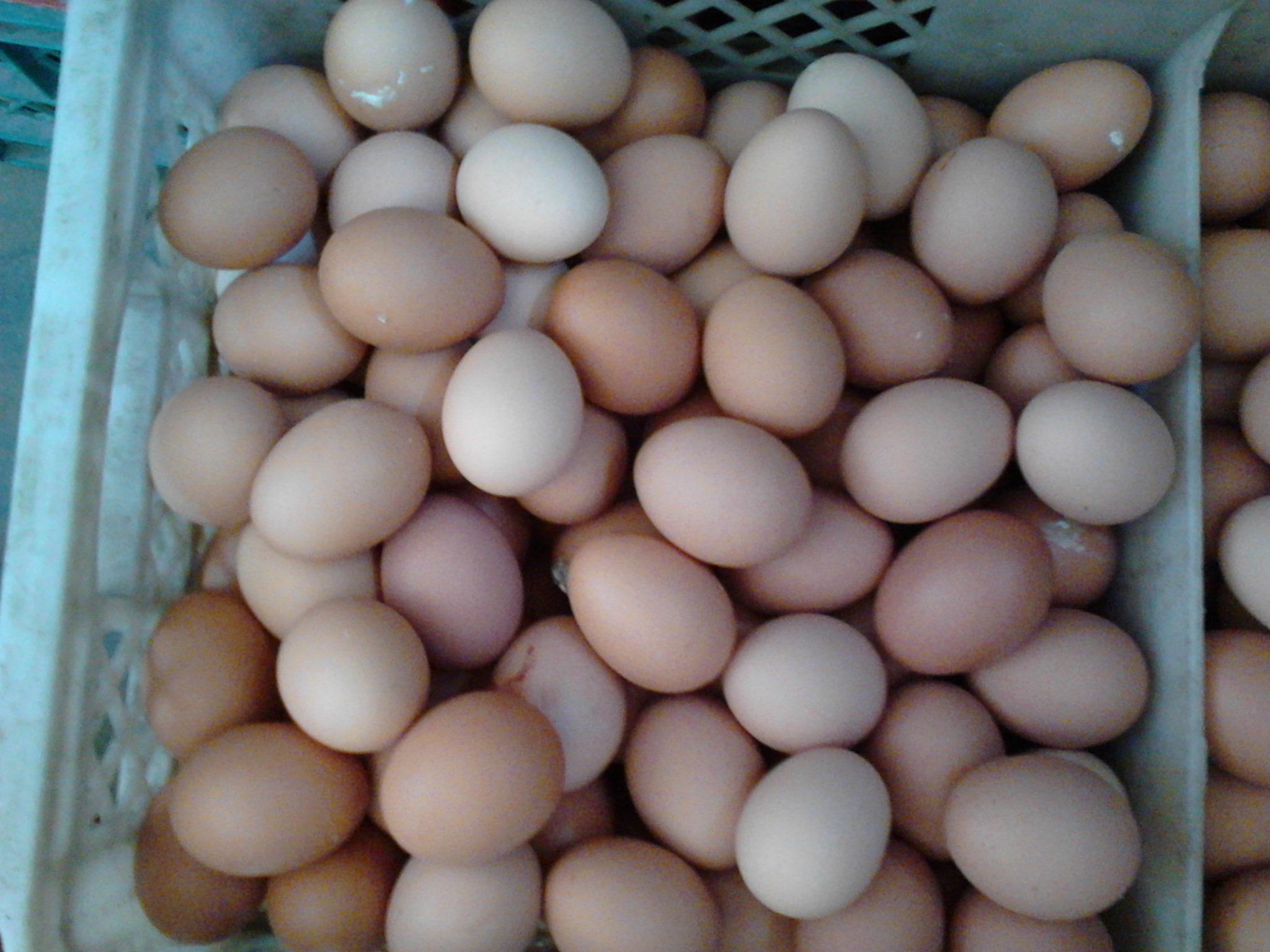 BC贷(中国游)官方网站