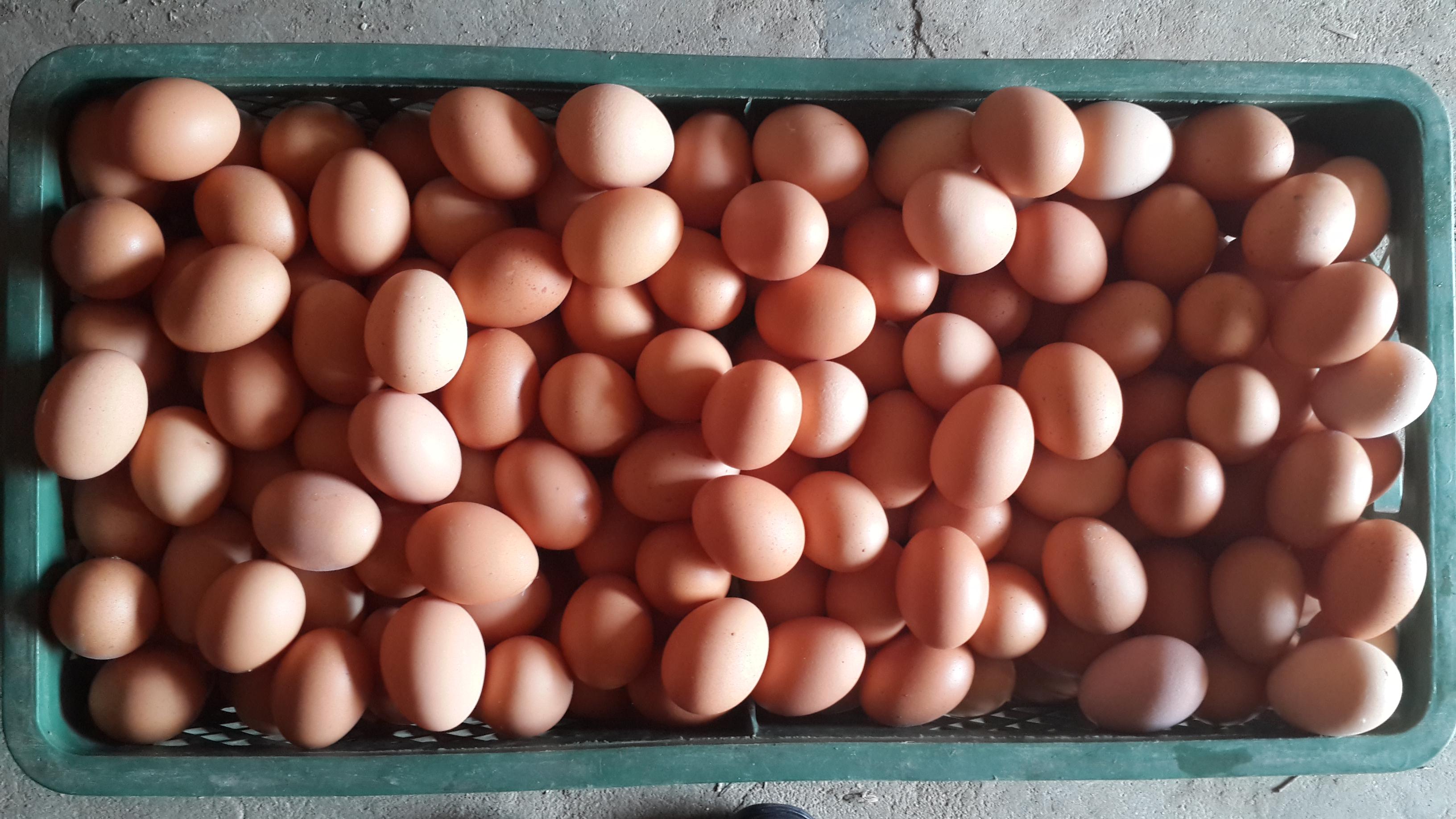 BC贷(中国游)官方网站