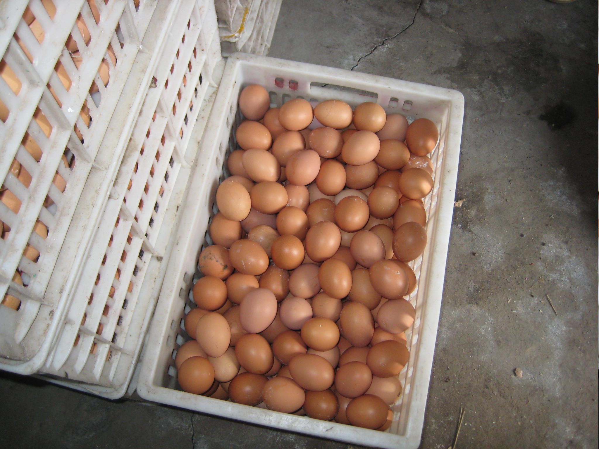 BC贷(中国游)官方网站