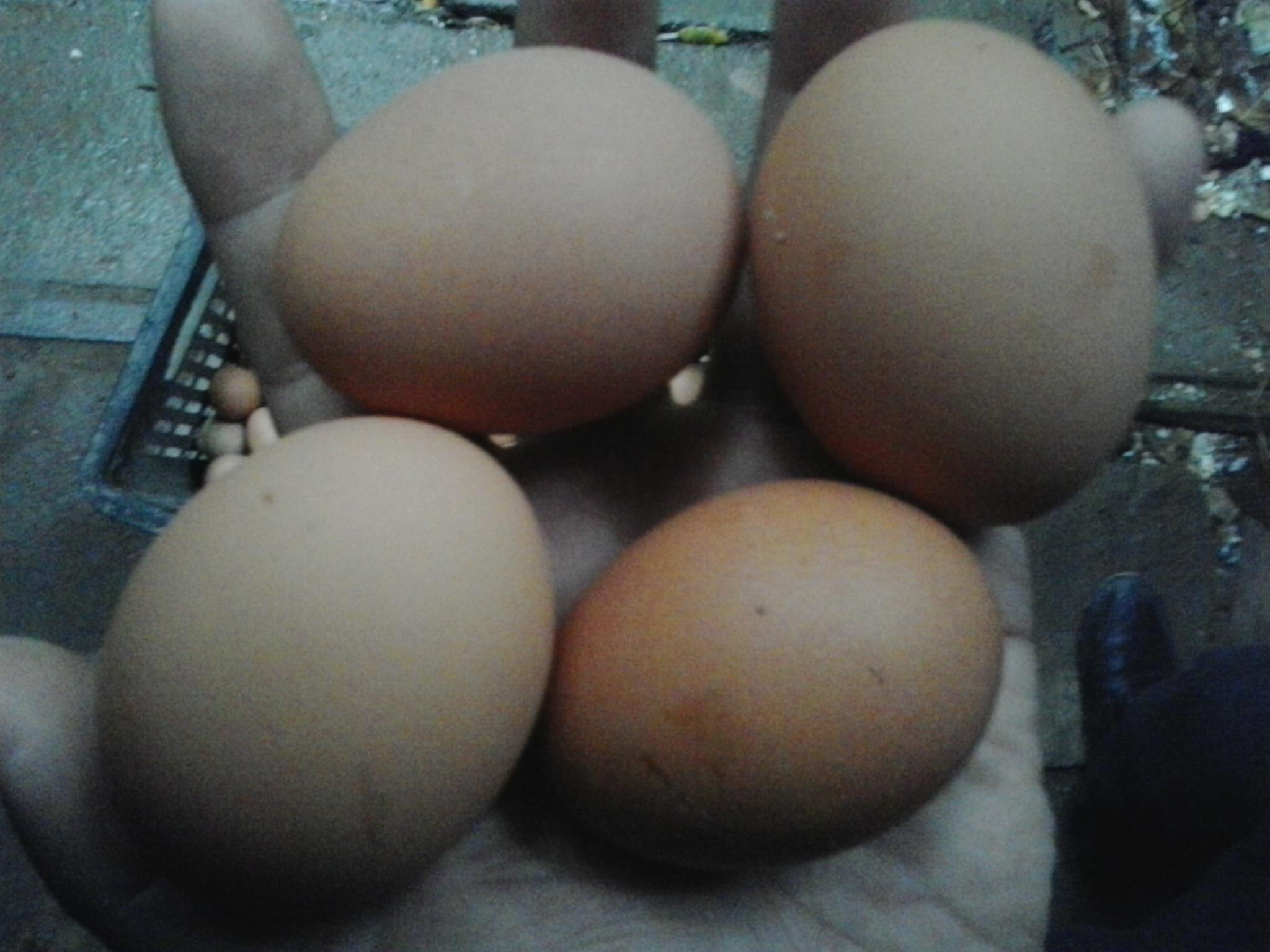 BC贷(中国游)官方网站