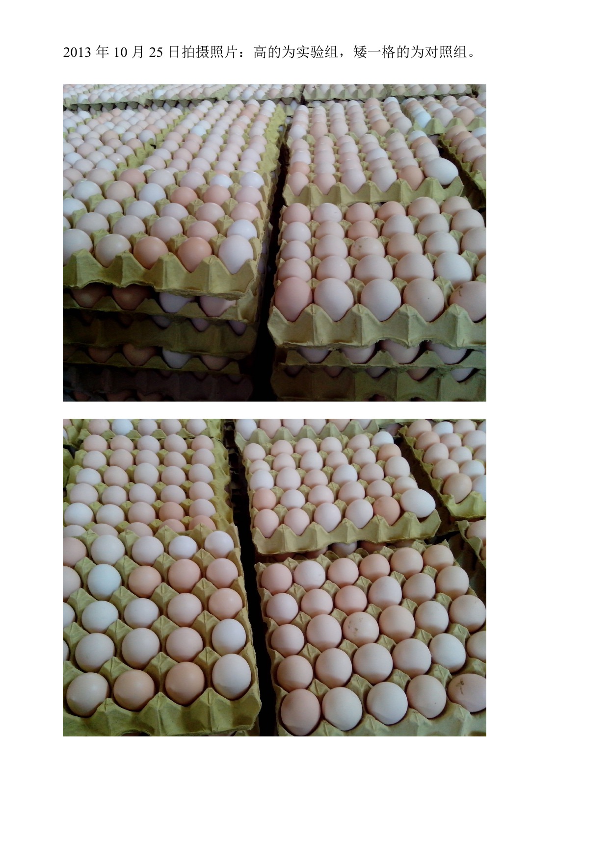 BC贷(中国游)官方网站