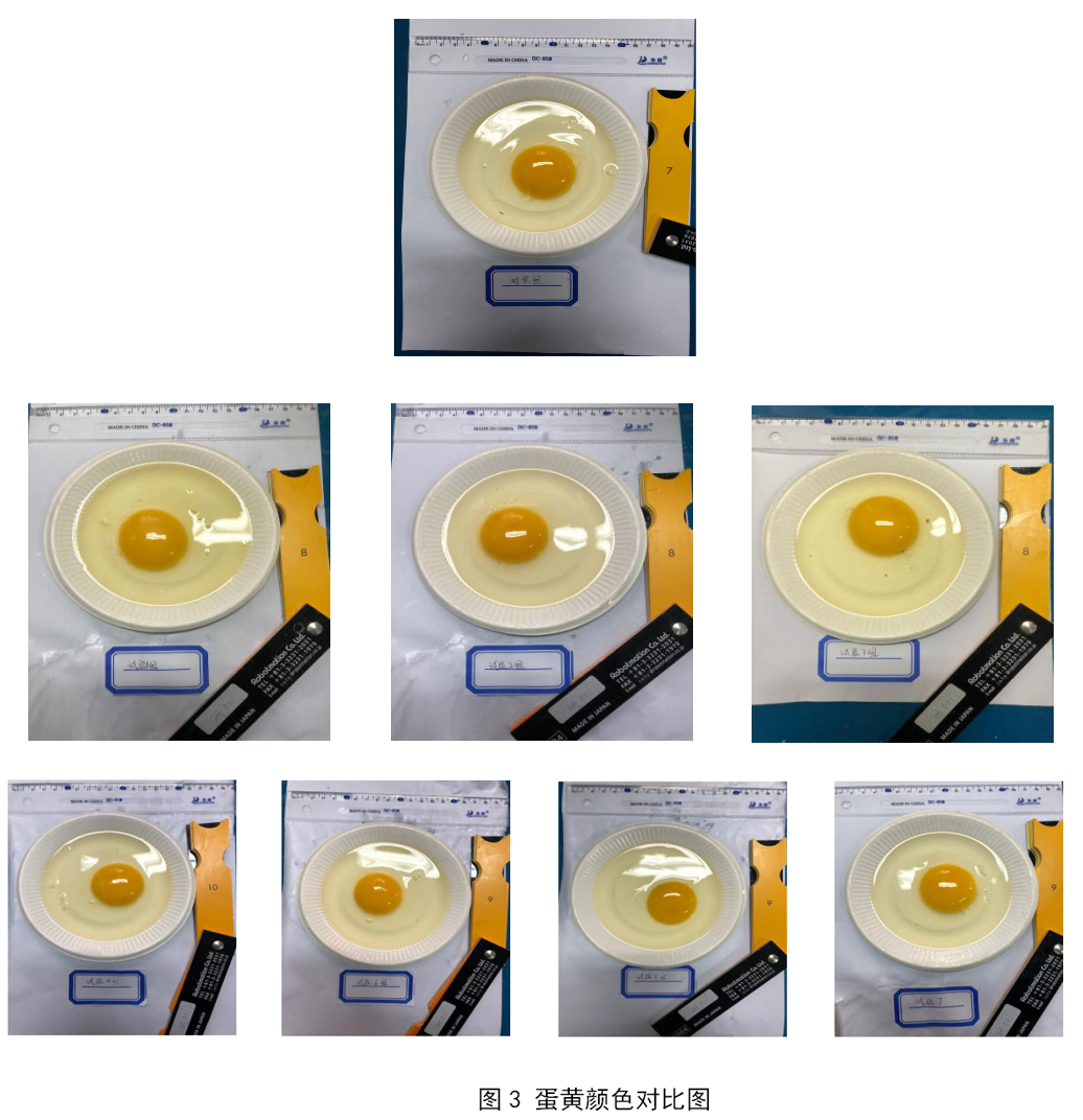 BC贷(中国游)官方网站